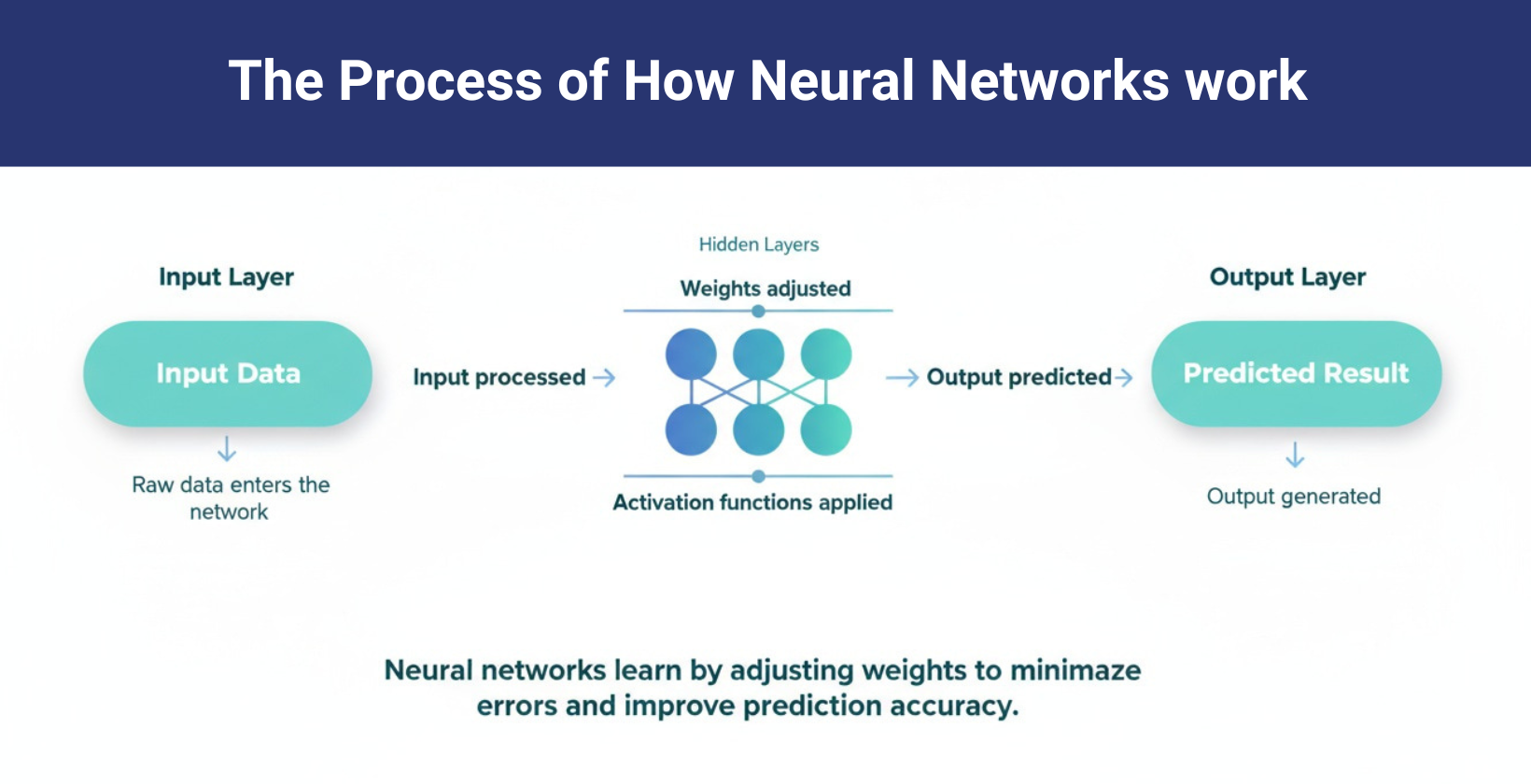 How neural networks work process